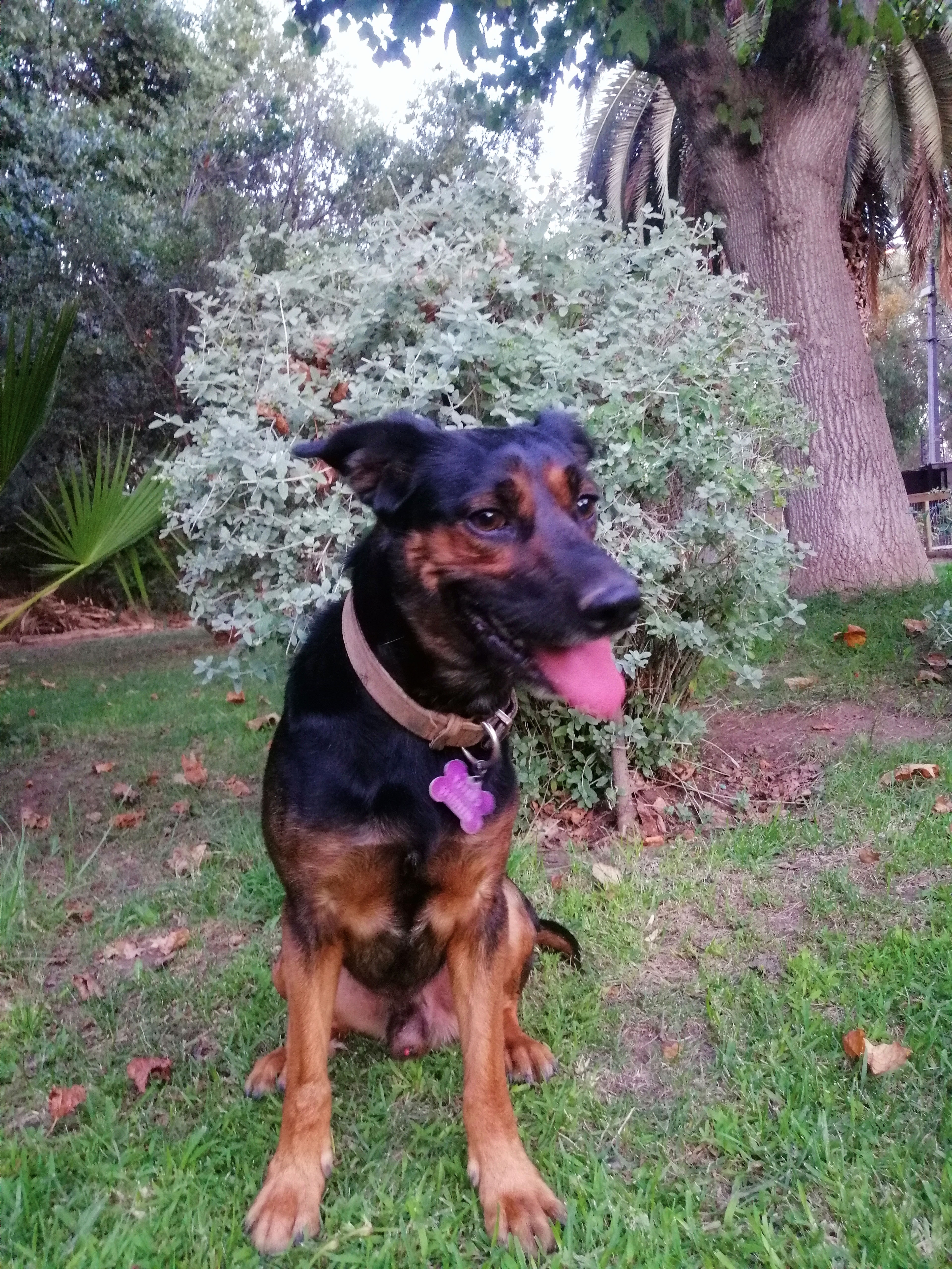 Charly