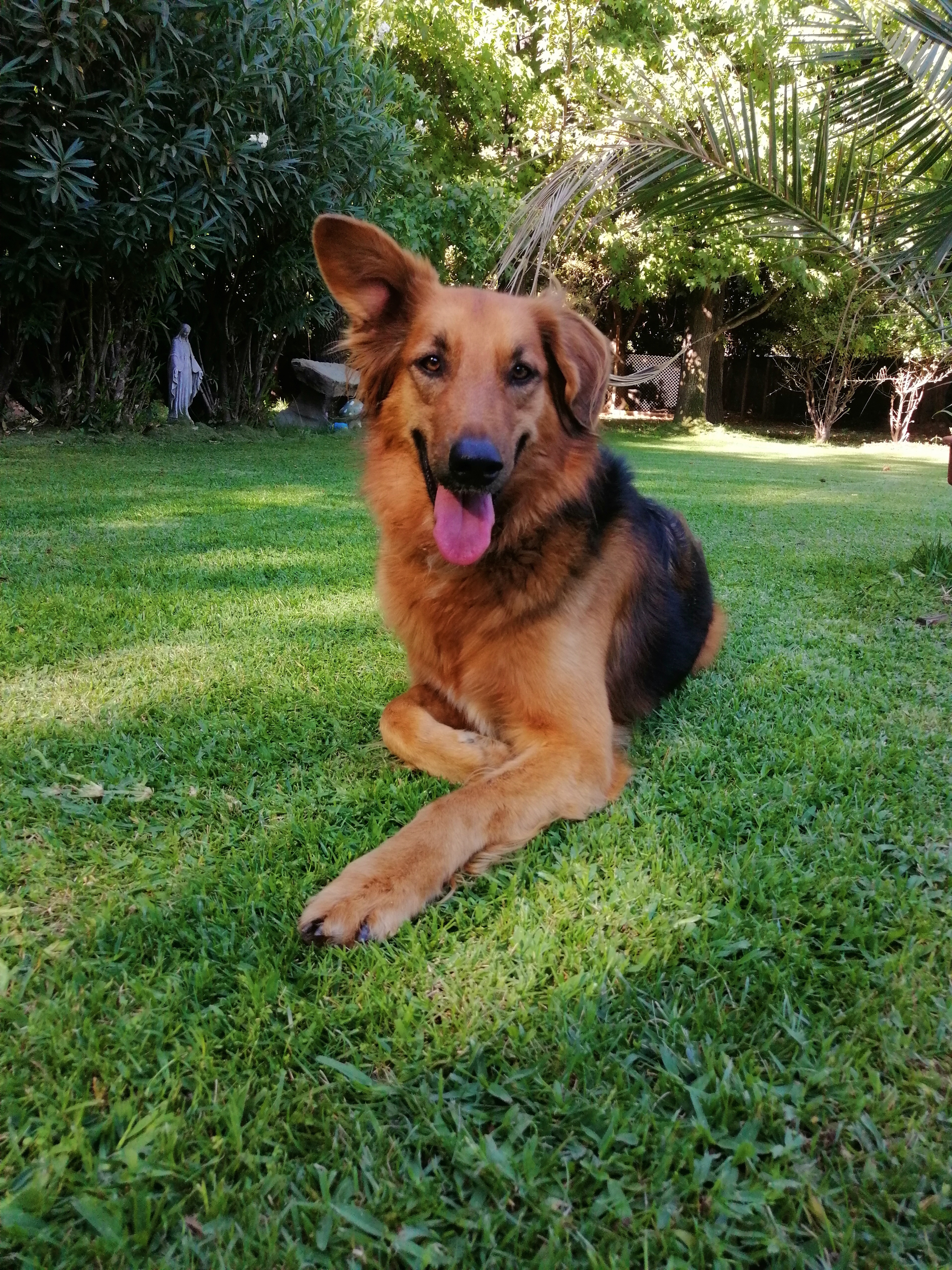 Choka
