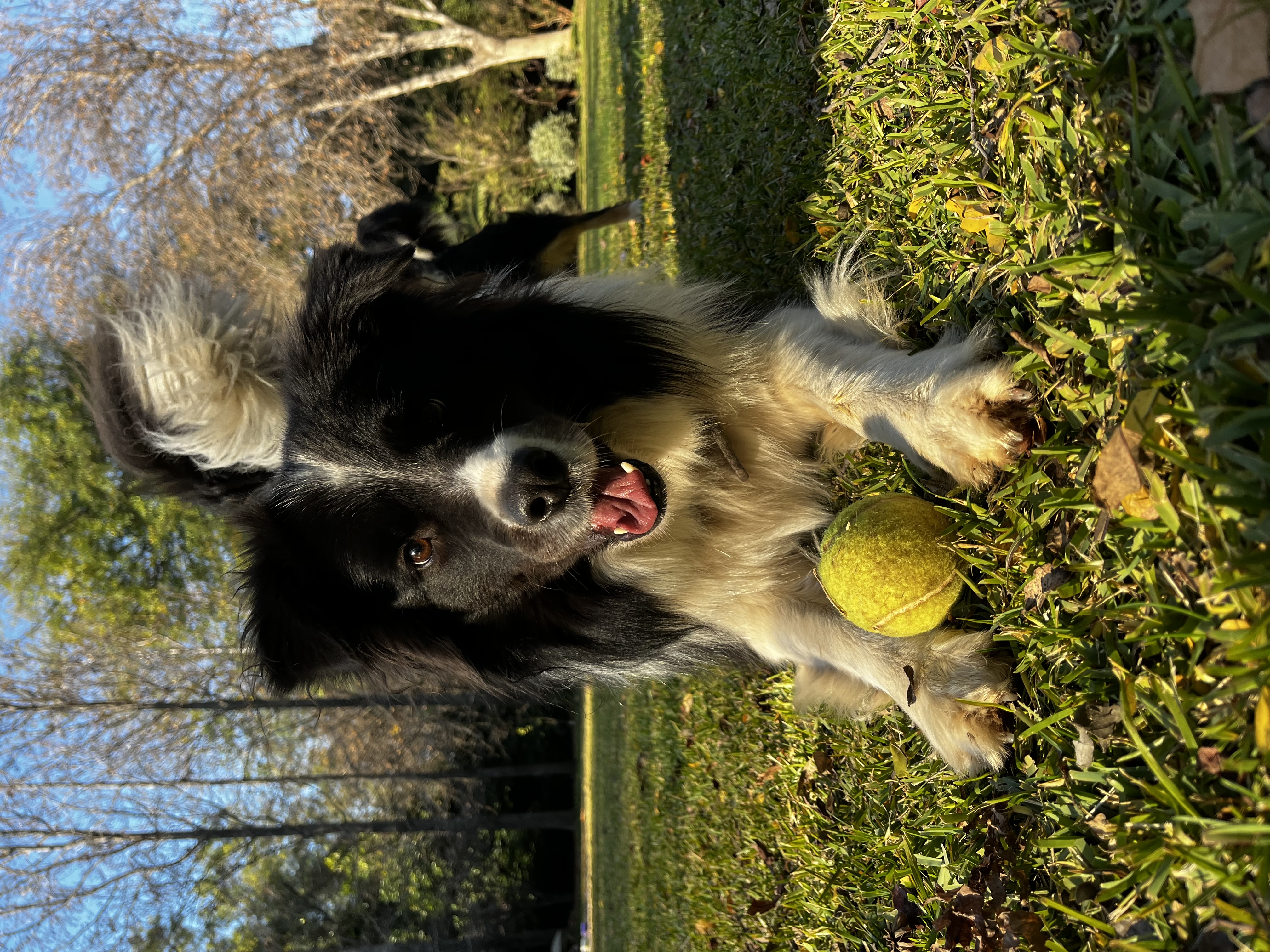 Jack