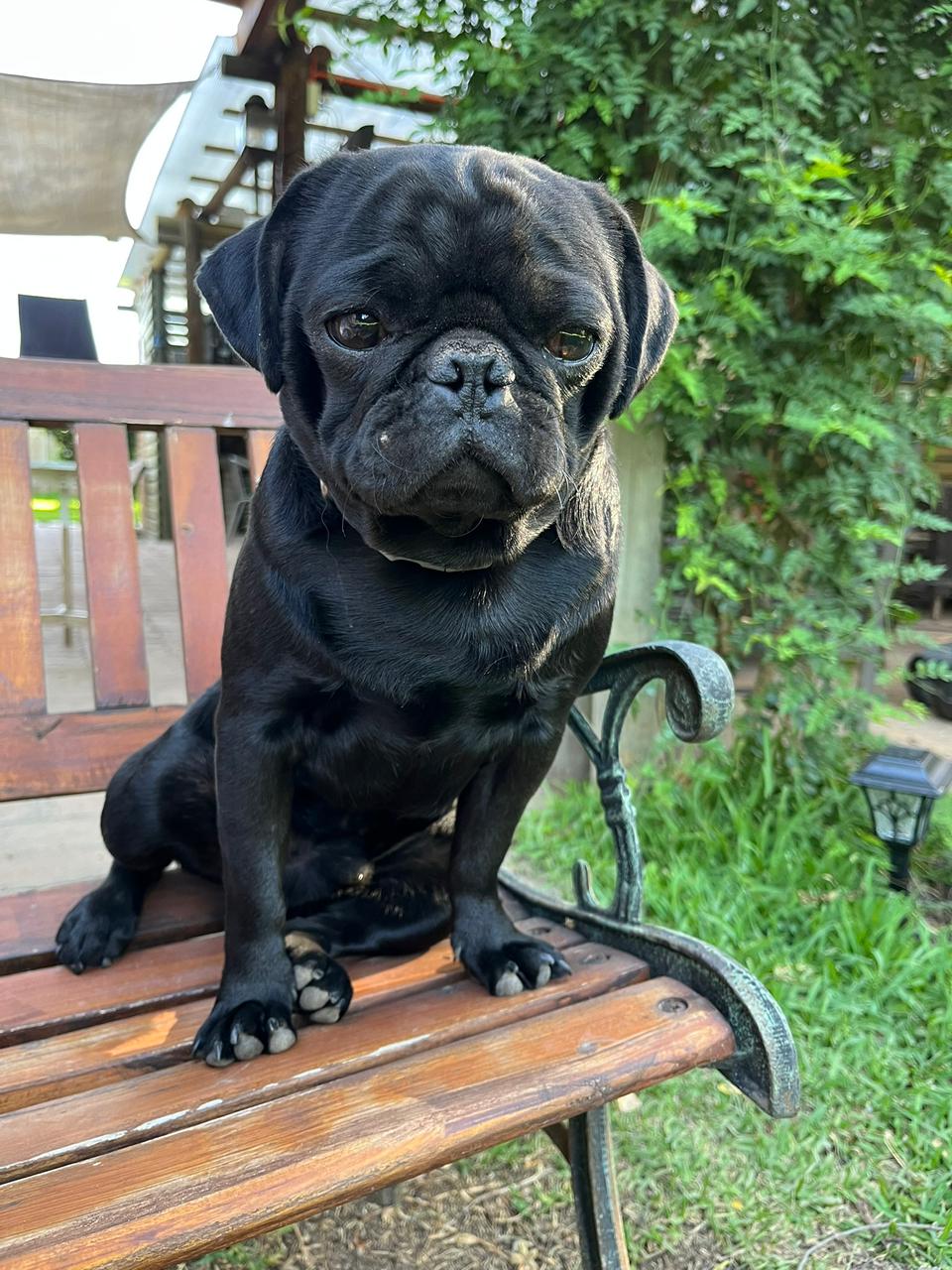 Olaf